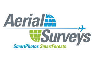 Aerial surveys
